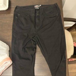 Black Torrid Premium Stretch Jeans